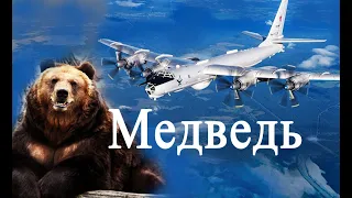 Ту-95 – престарелый «Медведь» российских ВВС, который любому ещё может дать по кумполу!