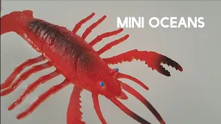 Mini Oceans (KS1 Science) - Sensory Learning