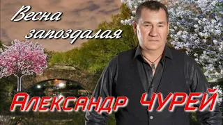 391.Александр Чурей – Весна запоздалая. НОВИНКИ ШАНСОНА.