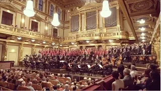 "An die Freude" ("Ode to Joy") Beethoven: Symphony No. 9 / Samuel Pang · DBS Symphony Orchestra