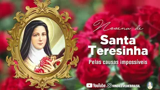 #4 dia da Novena de Santa Teresinha do Menino Jesus / Pelas causas impossíveis