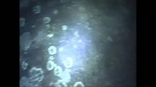 EVP: "Turn Back" EXTREMELY CLEAR 28/2/2012