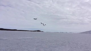 Deep-field air drop supports Antarctic science