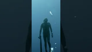 Spearfishing in DOWN CURRENT (giant whirlpool)
