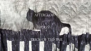 Afterglow plays A Trick of the Tail (Genesis cover)