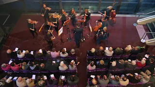 Remembrance - Sebastian Harris - Albany Chamber Orchestra - Burhan Guner