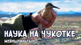 Наука в Мейныпильгыно. Юго-Восточная Чукотка