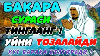 Бақара сураси  Уйга ШАЙТОН кирмайди ва БАРАКА ёғилади!!! Baqara surasi