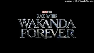 Black Panther: Wakanda Forever [DRILL]