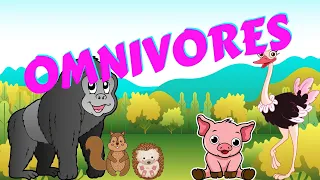 Omnivores | Types of Animal | Science for Kids