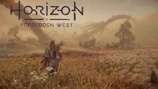 Stunning Graphics (Horizon Forbidden West) (4K UHD) (PS5)