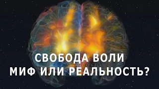 Свобода воли: миф или реальность?