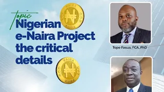 Nigerian e-Naira Project, The Critical Details