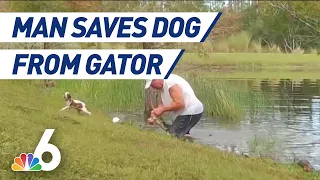 Man Saves Pet Dog From Gator Attack in Florida Pond