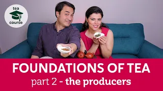 The 6 Types of Tea - How are they made? FOUNDATIONS OF TEA COURSE Pt.2 - The Producers