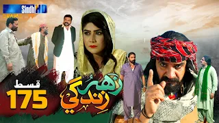 Zahar Zindagi - Ep 175 | Sindh TV Soap Serial | SindhTVHD Drama