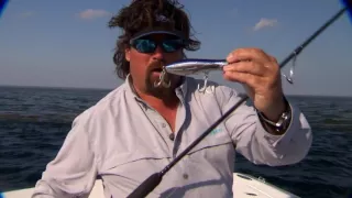 Season 2 Episode 8 | Louisiana Tuna Fishing | 208