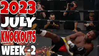 MMA & Boxing Knockouts I July 2023 Week 2