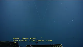 ROV Hercules Dive NA129 H1871 2021 08 09 14 33 42 358 UTC 2