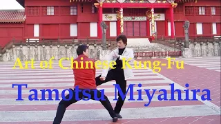 Art of Chinese Kung-Fu / master Tamotsu Miyahira. 宮平保先生