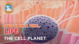 Once Upon a Time... Life - The cell planet