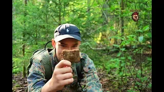 Коп по войне - Вдоль траншеи ( along the trench) / Searching with Metal Detector