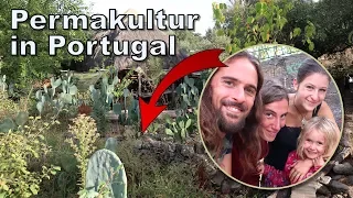 Was ist Permakultur? 🥕Doku: Wir zeigen euch erfolgreiche Selbstversorger in Portugal!