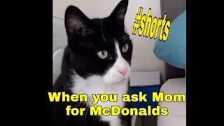 #shorts When You Ask Mom For McDonalds #kidsbelike #momsbelike #relatable