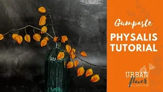 How to make gumpaste / flower paste / sugar  Physalis (Chinese Lanterns) a step by step tutorial