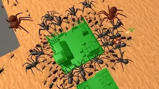 Home Wars - MASSIVE SPIDERS INVASION