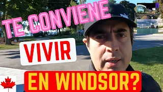 ✅TE conviene VIVIR en WINDSOR?🍁