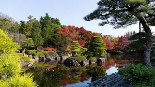Poznejte blíže japonské zahrady. V čem vynikají a co je pro ně typické?