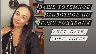 Аист, Паук, Змея, Бобер- ваше тотемное животное и их особенности#