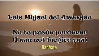 Luis Miguel del Amargue - No te puedo perdonar English lyrics