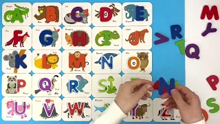 Kids Learn ABC's with Animal Puzzle and Real Animal Video