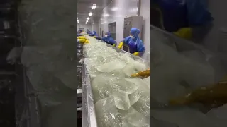 Aloe vera cosmetic production process