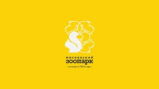 Московский Зоопарк "Еноты" | 360 video
