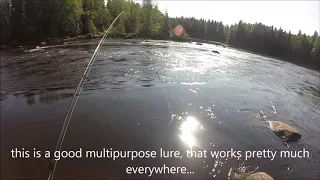 Fishing on Kapeenkoski and Pesiäissalmi 17th of August 2018