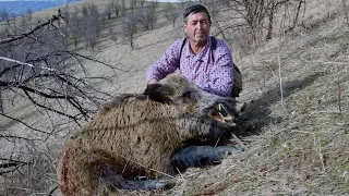 Hunting in Tajikistan for wild boar www.hunting.az