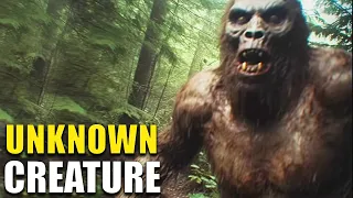 Disturbing Predator Seen on Trail Cam Footage