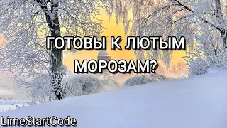 LimeStartCode Я лев и я очень упрямый