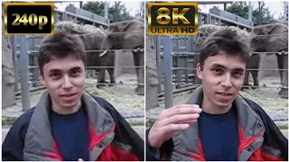 Me at the zoo - 8K upscaled, 60 FPS (240p vs 8K)