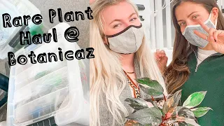 Shopping for Rare Plants With Me @ Botanicaz! Rare Plant Shopping + Haul!