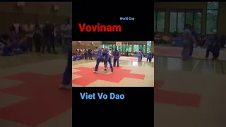 #vovinam #вовинам #vietvodao #вьетводао #motivation #throwdown #throw #martialarts #kick #worldcup