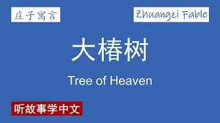 【庄子寓言】大椿树 Tree of Heaven【Zhuangzi Fable】