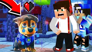 CZY CZEJS PŁACZE ? PSI PATROL || GPLAY & LAKI - MINECRAFT