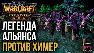 ЛЕГЕНДА АЛЬЯНСА ПРОТИВ ХИМЕР: Warcraft 3 Reforged