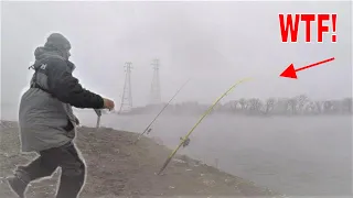 GIANT Early Spring Catfish from the BANK! (BIG FISH)