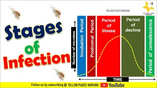 Stages of infection |Incubation Period | Prodromal Period | illness |  Decline & Convalescence