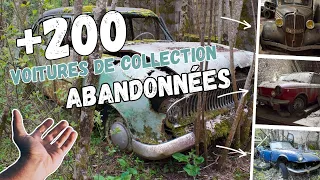 URBEX | DES VOITURES DE COLLECTION ABANDONNÉES, MERCEDES, PEUGEOT, SIGMA, FIAT | PIXIEDL 2023